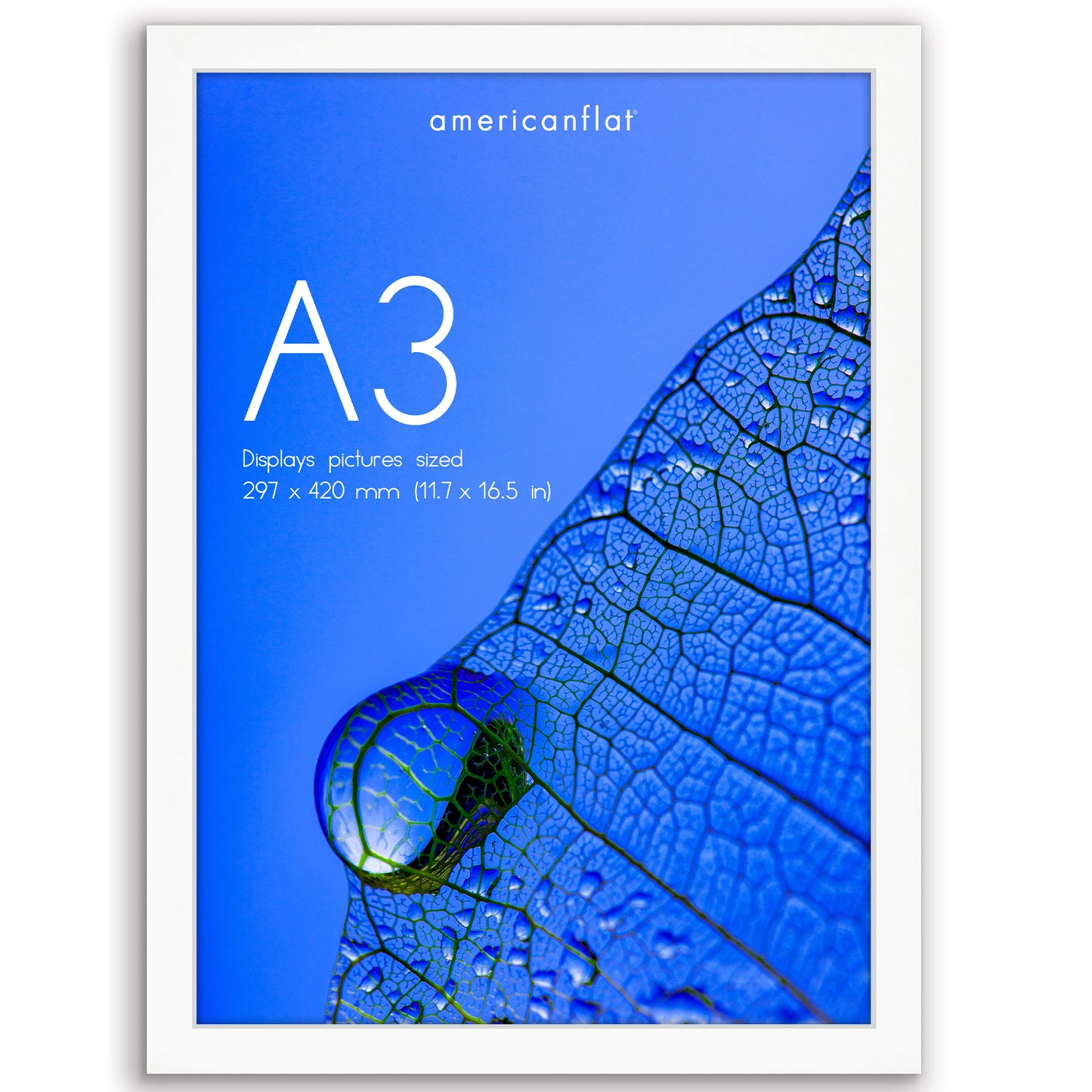 Picture Frame | Poster Frame | Wall Decor | For Photos Documents and Artwork