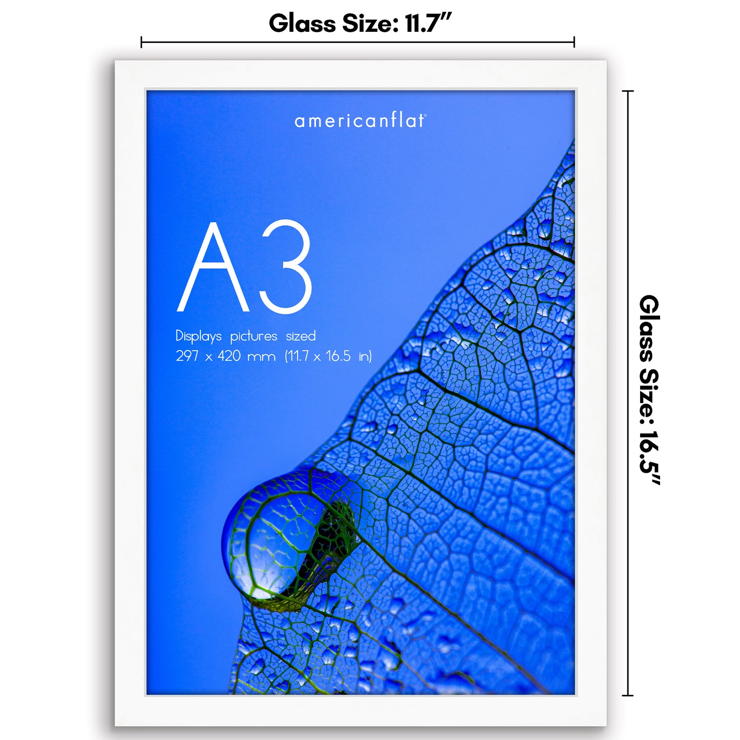 Picture Frame | Poster Frame | Wall Decor | For Photos Documents and Artwork