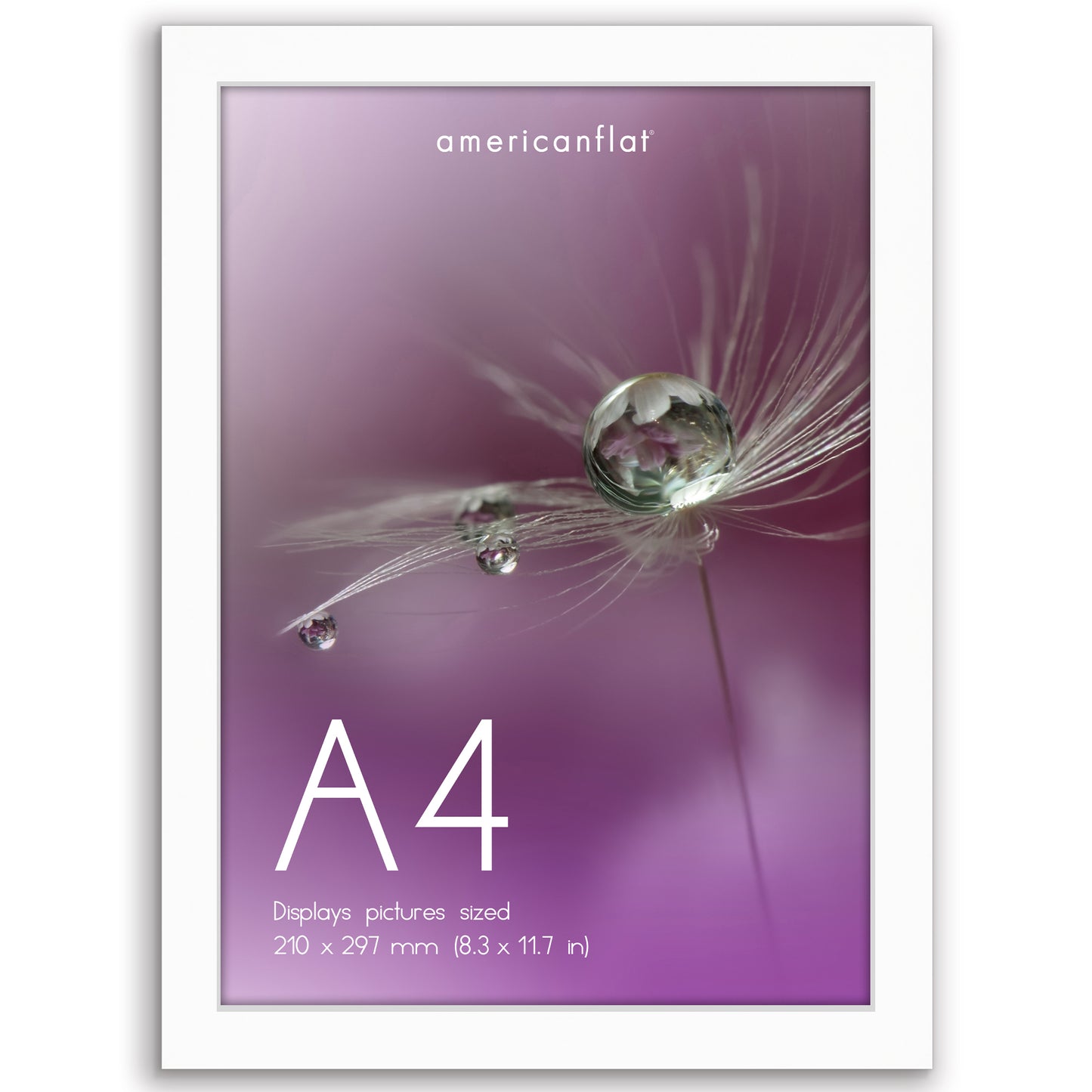 Picture Frame | Poster Frame | Wall Decor | For Photos Documents and Artwork