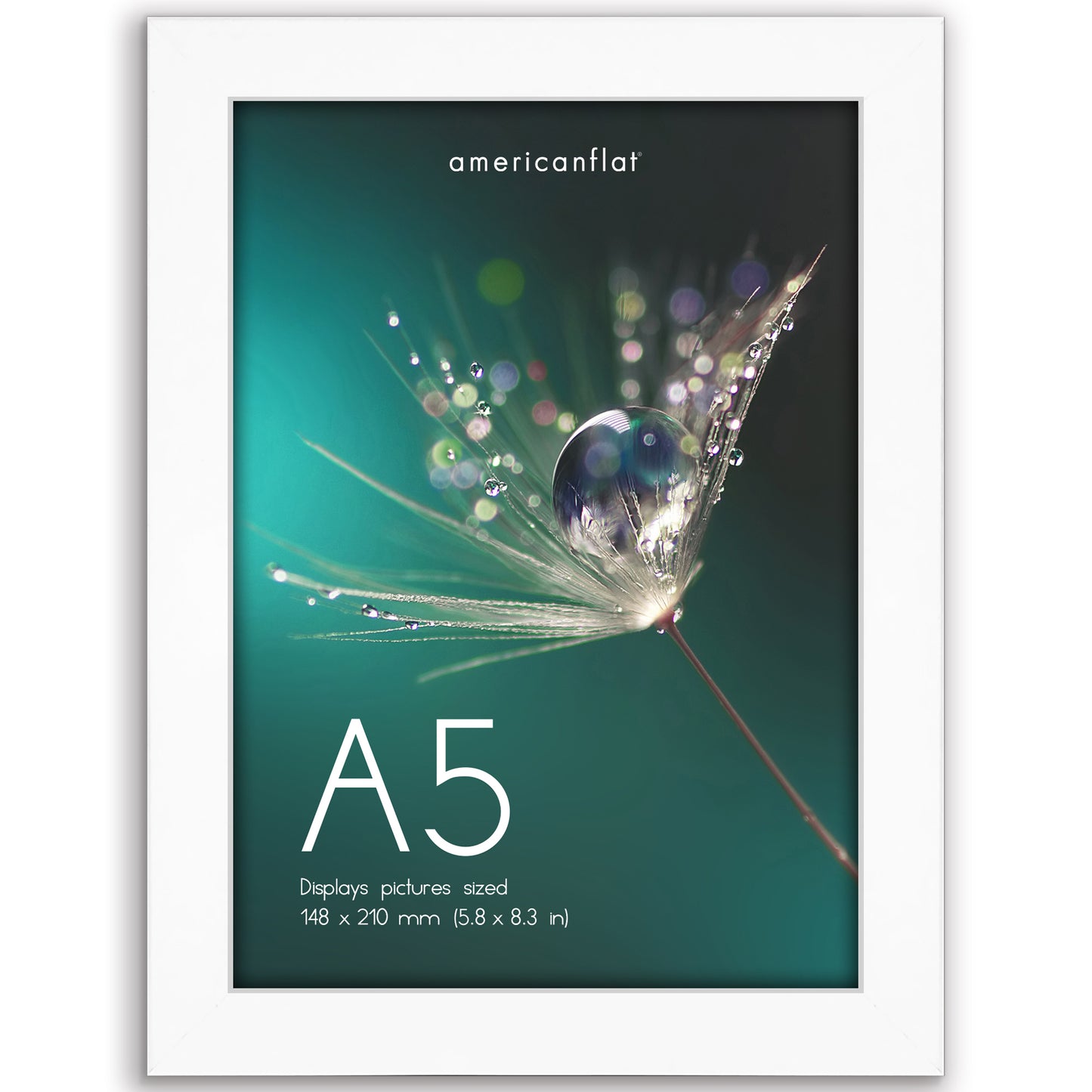 Picture Frame | Poster Frame | Wall Decor | For Photos Documents and Artwork