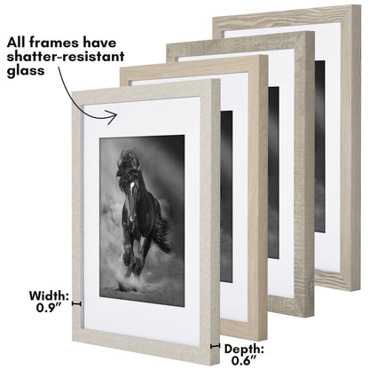 Picture Frame 4 Pack | With Mat | Farmhouse Wall Decor | Protective Glass