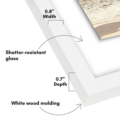 Floating Picture Frame | Two-Sided Glass Display | For Photos and Pressed Flowers