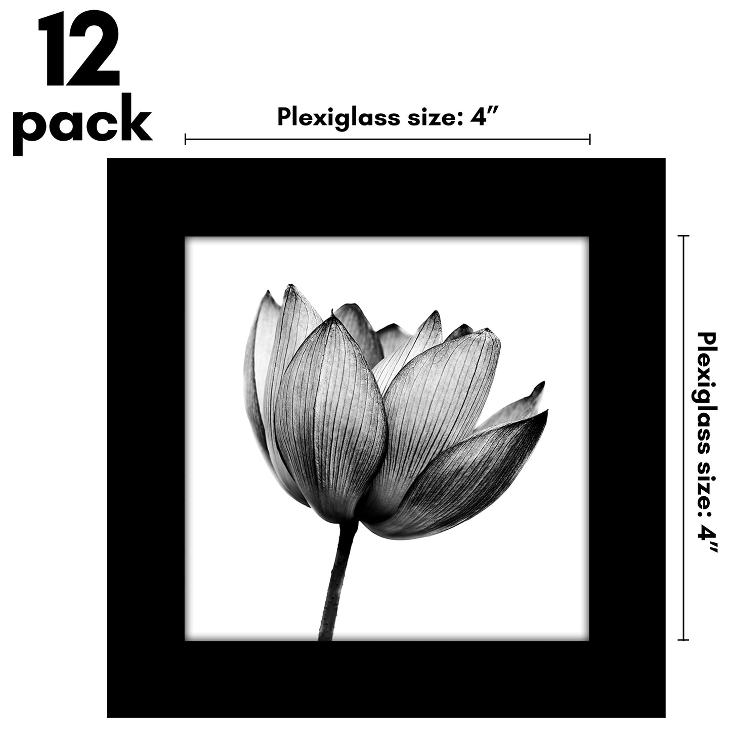 Picture Frame 12 Pack | Gallery Wall Set | Shatter-Resistant Glass | Decor