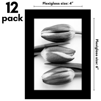 Picture Frame 12 Pack | Gallery Wall Set | Shatter-Resistant Glass | Wall Art
