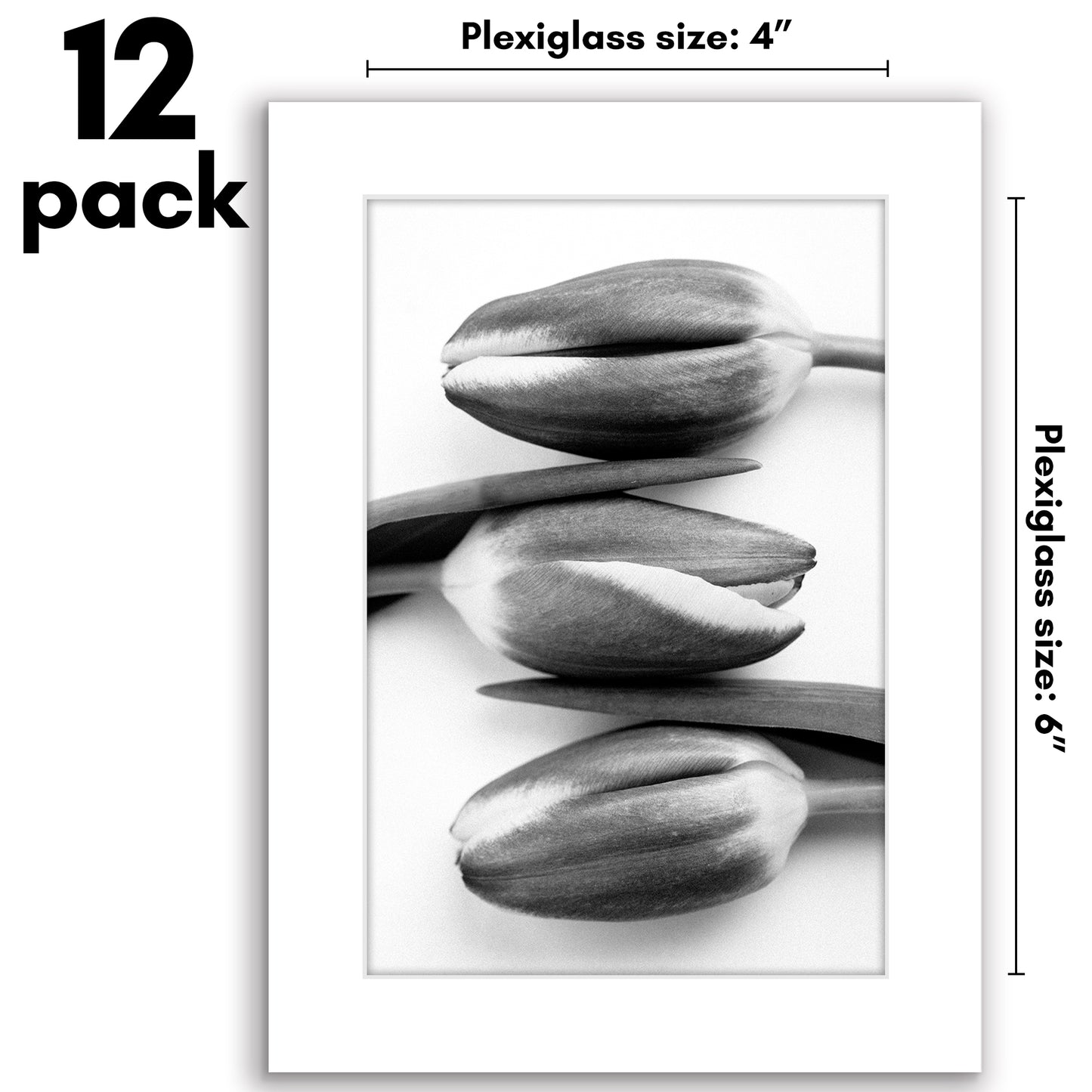 Picture Frame 12 Pack | Gallery Wall Set | Shatter-Resistant Glass | Decor