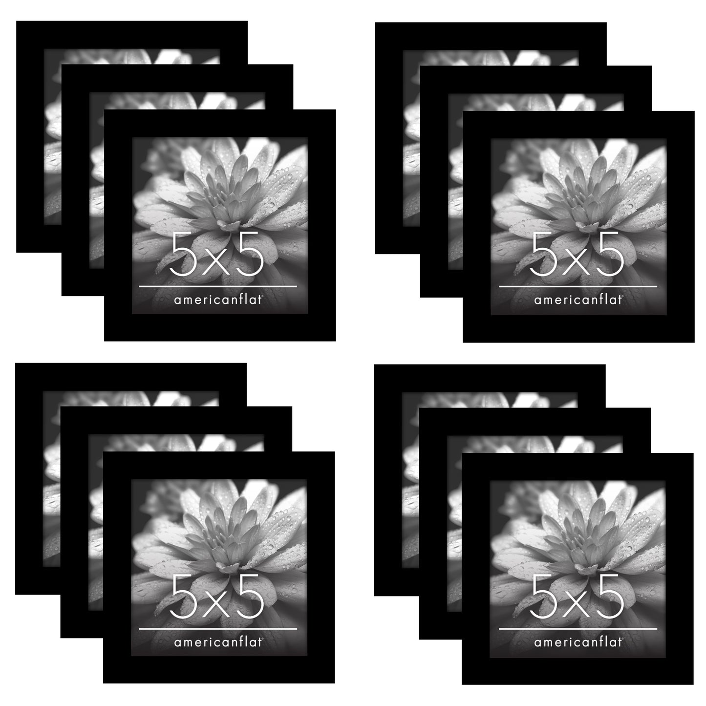 Picture Frame 12 Pack | Gallery Wall Set | Shatter-Resistant Glass | Decor