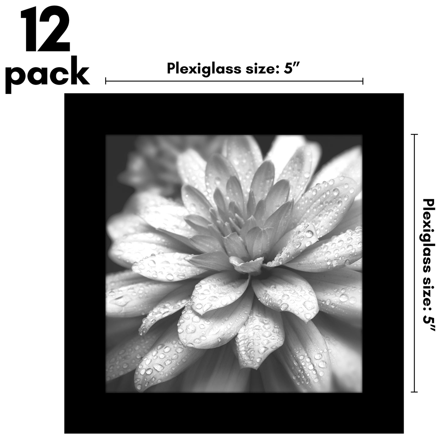 Picture Frame 12 Pack | Gallery Wall Set | Shatter-Resistant Glass | Decor