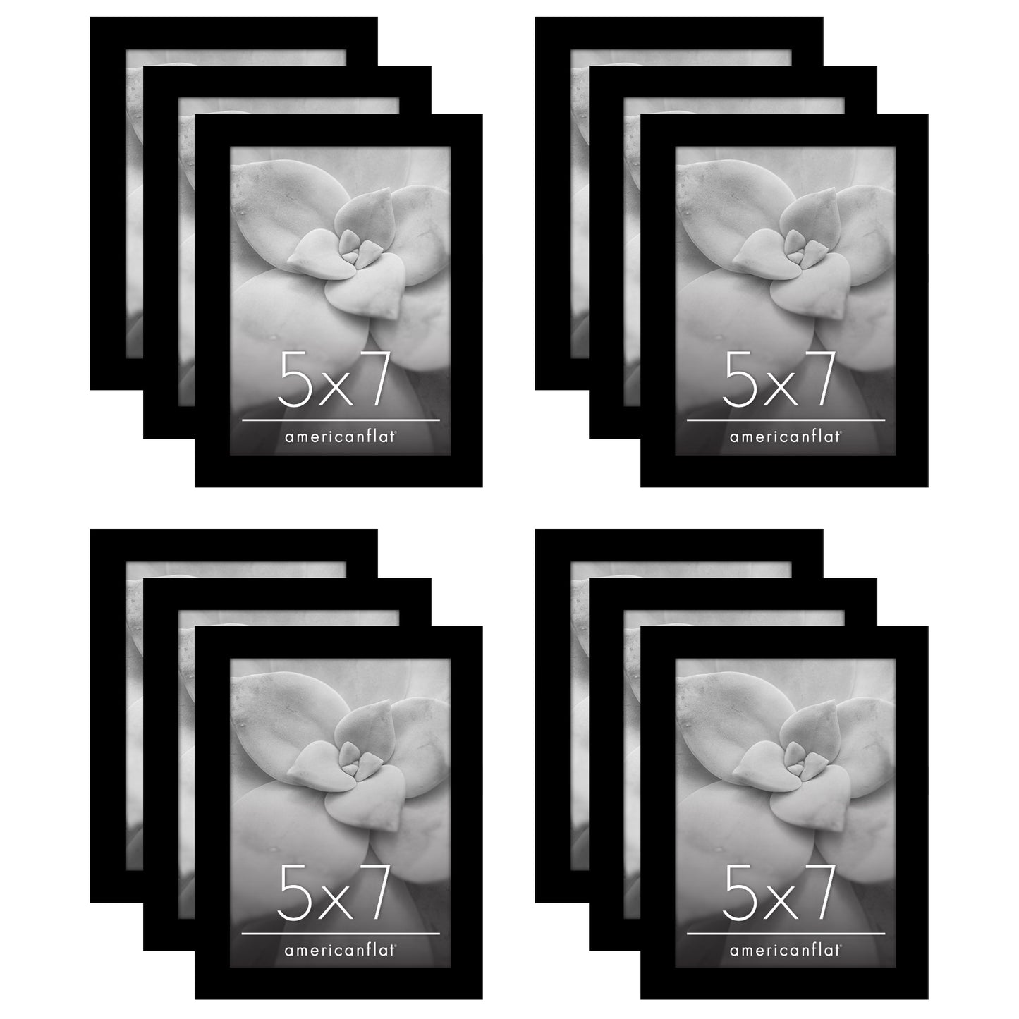 Picture Frame 12 Pack | Gallery Wall Set | Shatter-Resistant Glass | Decor