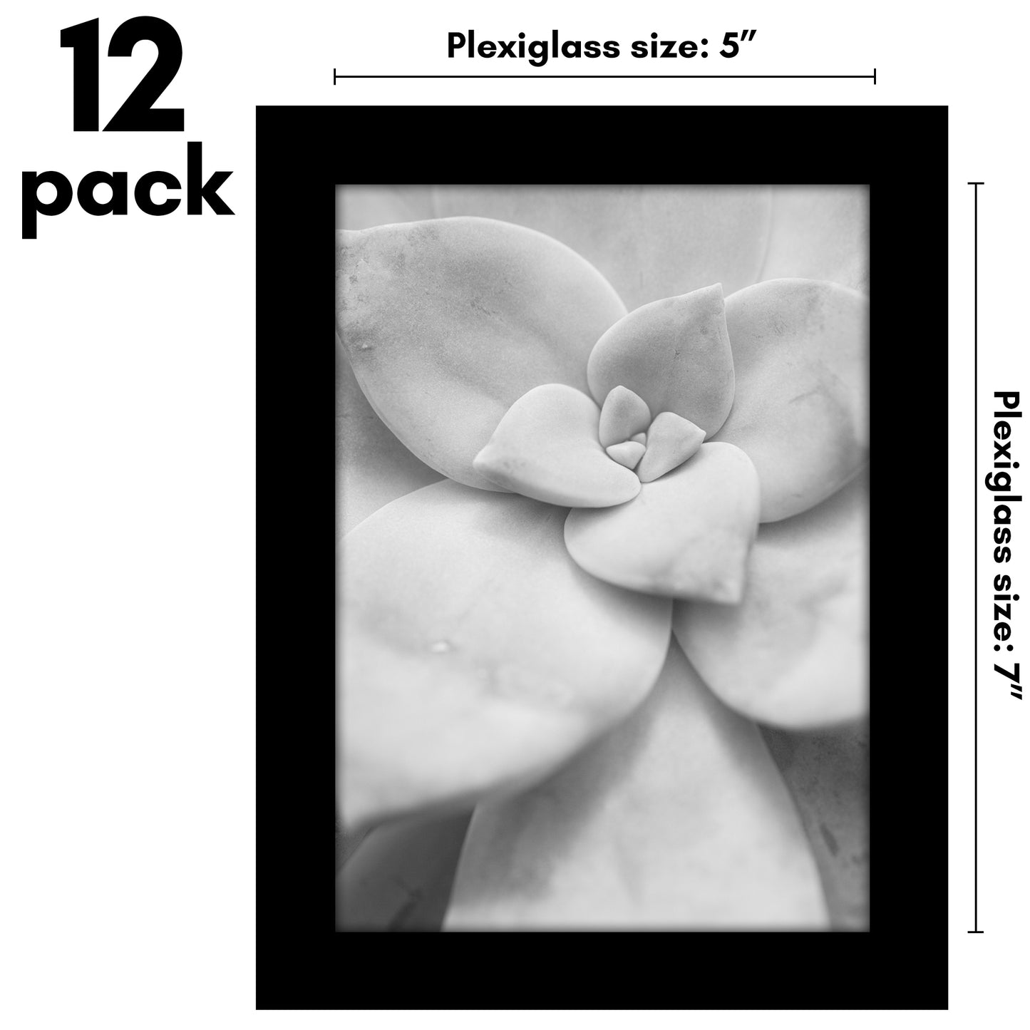 Picture Frame 12 Pack | Gallery Wall Set | Shatter-Resistant Glass | Decor