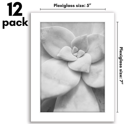 Picture Frame 12 Pack | Gallery Wall Set | Shatter-Resistant Glass | Decor