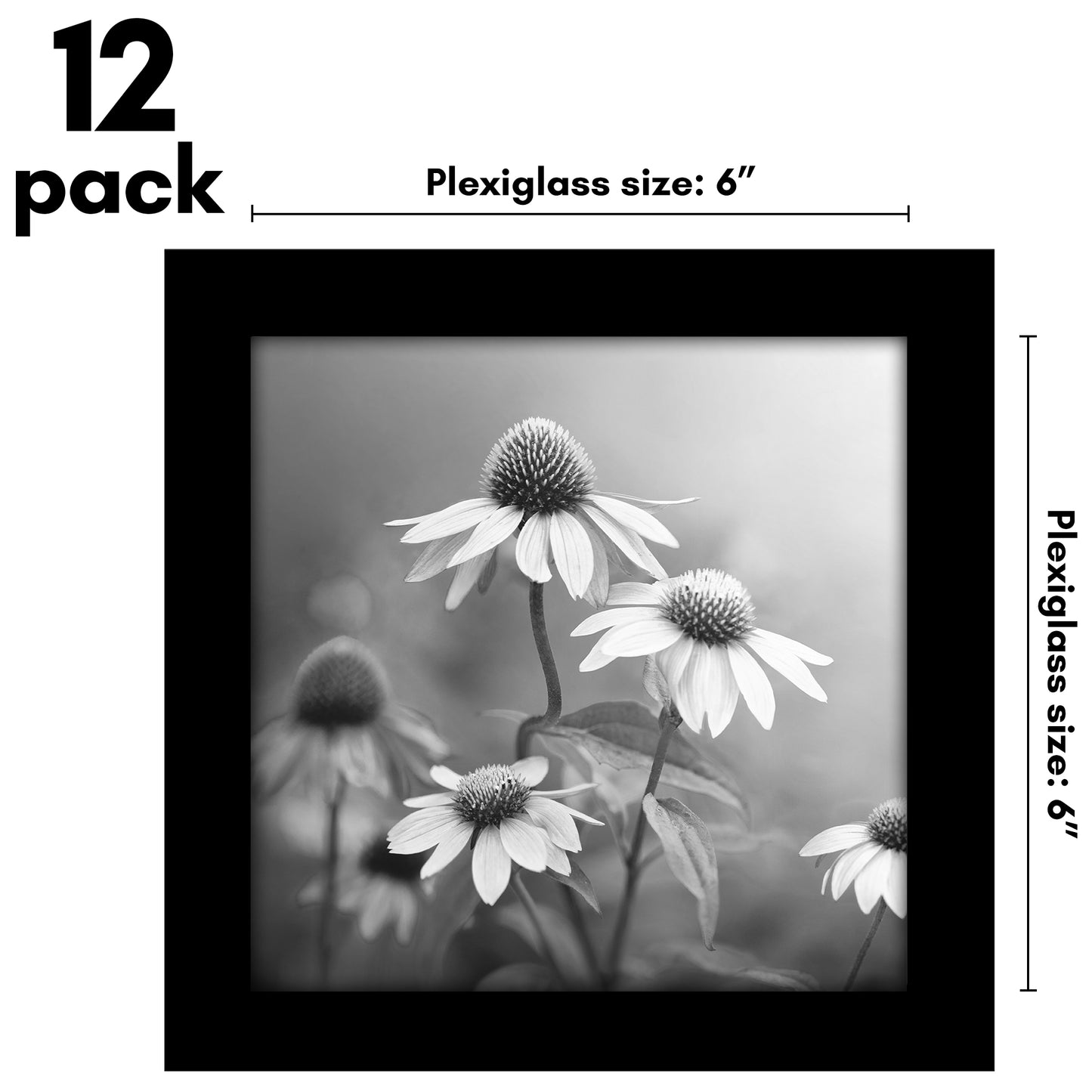 Picture Frame 12 Pack | Gallery Wall Set | Shatter-Resistant Glass | Decor