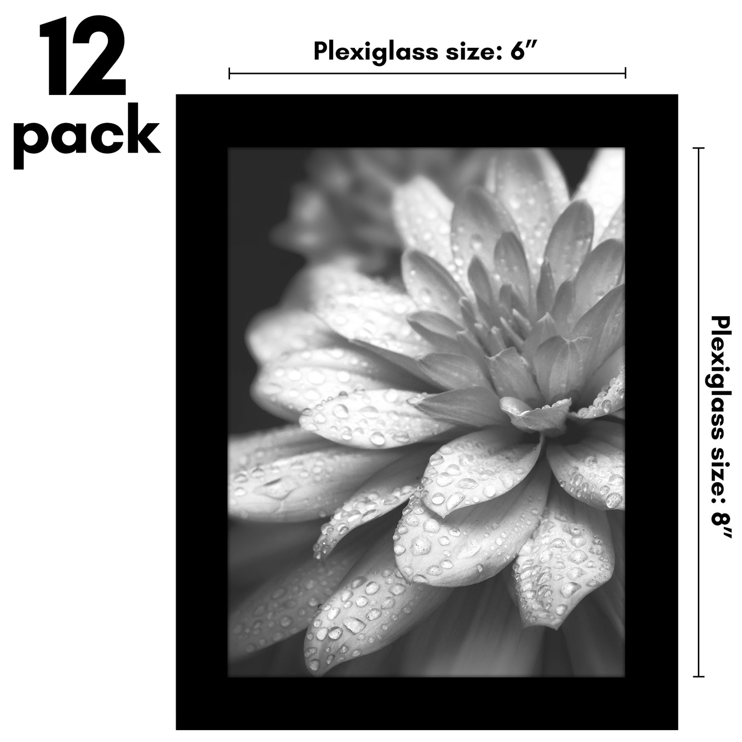 Picture Frame 12 Pack | Gallery Wall Set | Shatter-Resistant Glass | Wall Art