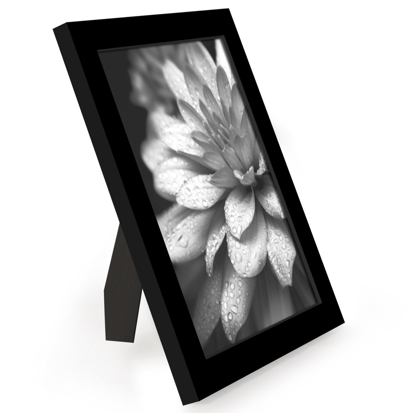 Picture Frame 12 Pack | Gallery Wall Set | Shatter-Resistant Glass | Wall Art
