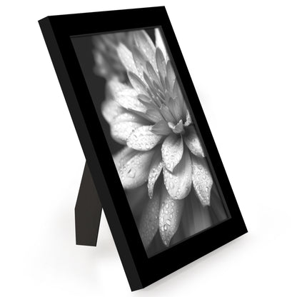 Picture Frame 12 Pack | Gallery Wall Set | Shatter-Resistant Glass | Wall Art