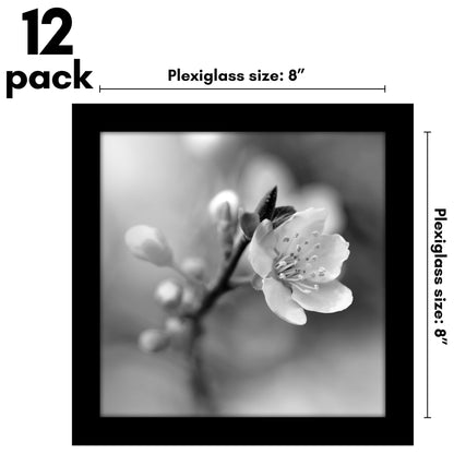 Picture Frame 12 Pack | Gallery Wall Set | Shatter-Resistant Glass | Decor