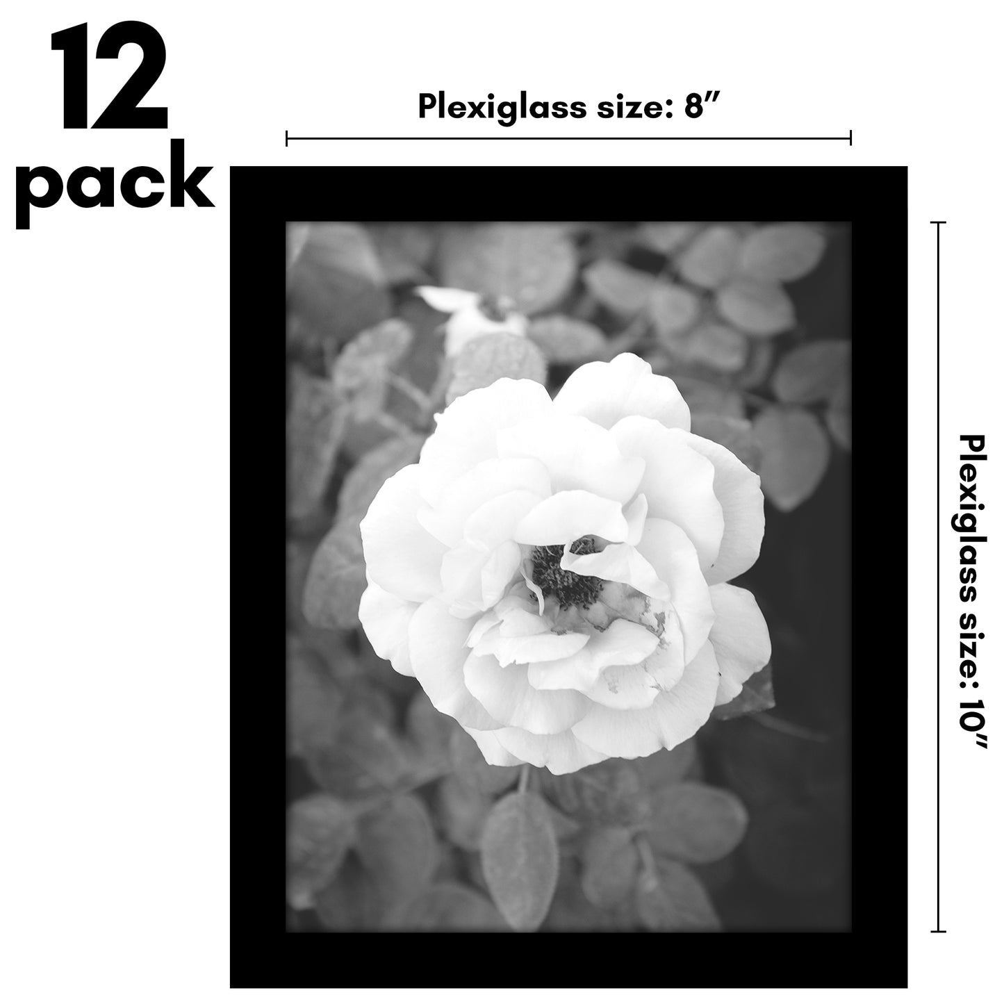 Picture Frame 12 Pack | Gallery Wall Set | Shatter-Resistant Glass | Wall Art