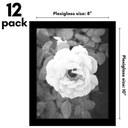 Picture Frame 12 Pack | Gallery Wall Set | Shatter-Resistant Glass | Wall Art