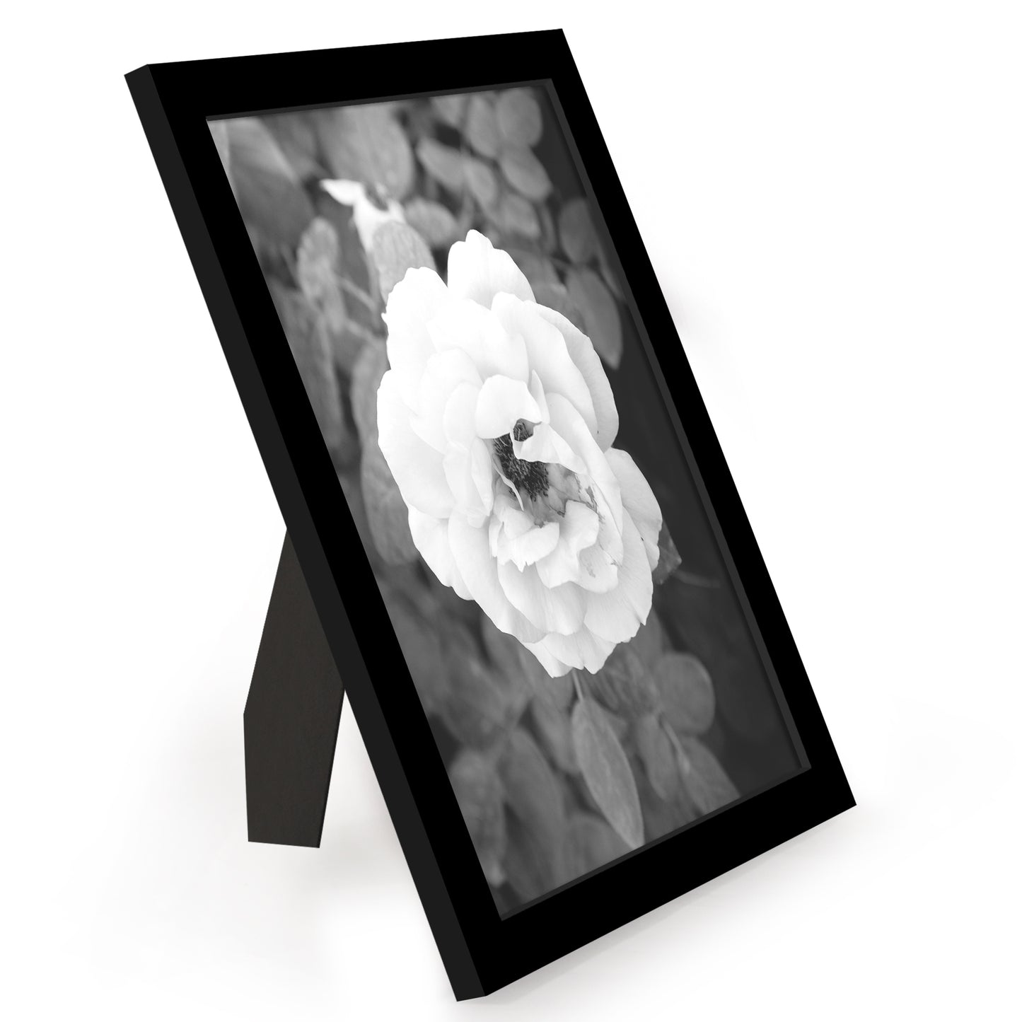 Picture Frame 12 Pack | Gallery Wall Set | Shatter-Resistant Glass | Wall Art
