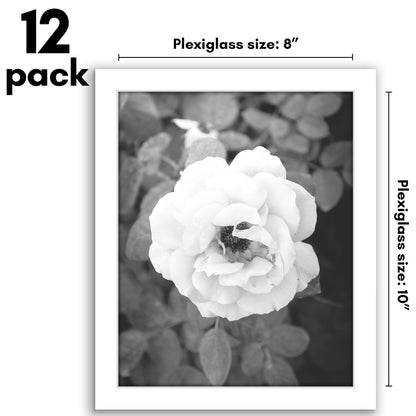 Picture Frame 12 Pack | Gallery Wall Set | Shatter-Resistant Glass | Decor