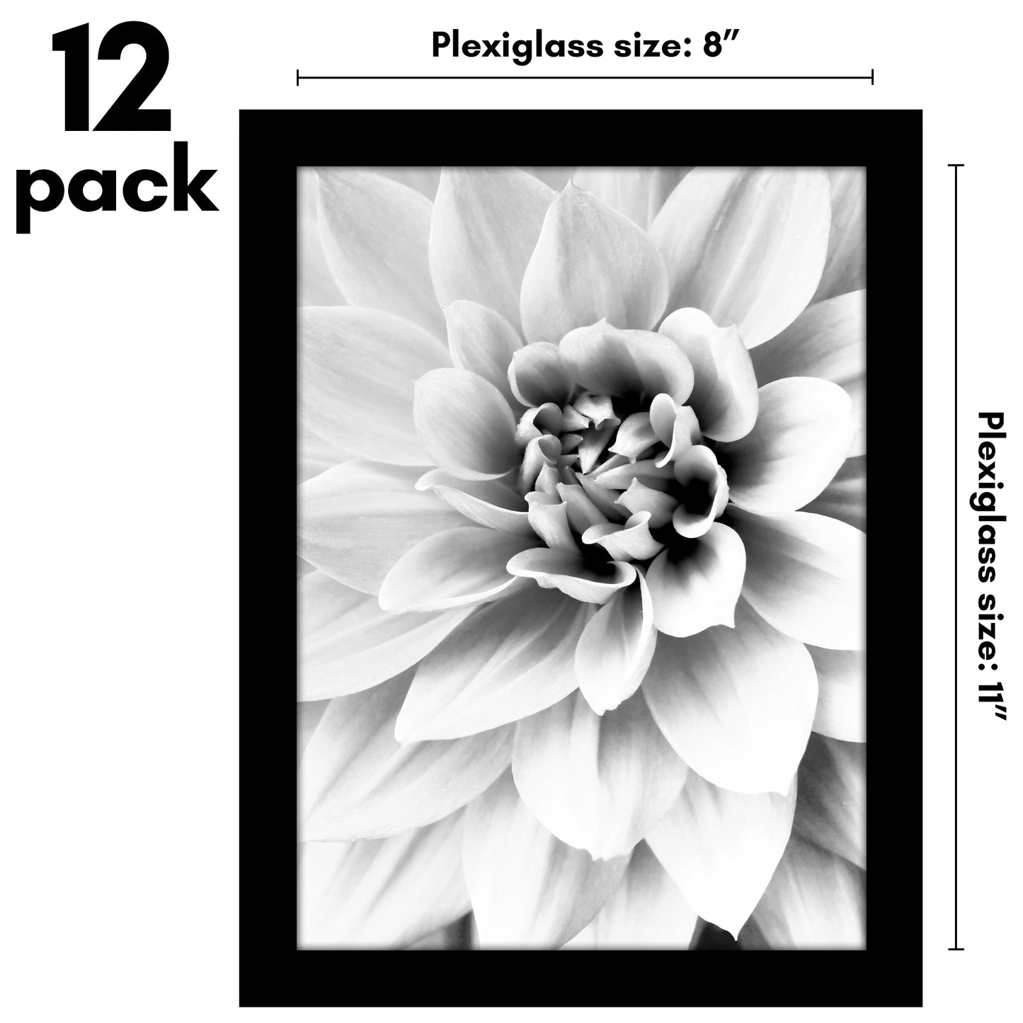 Picture Frame 12 Pack | Gallery Wall Set | Shatter-Resistant Glass | Decor