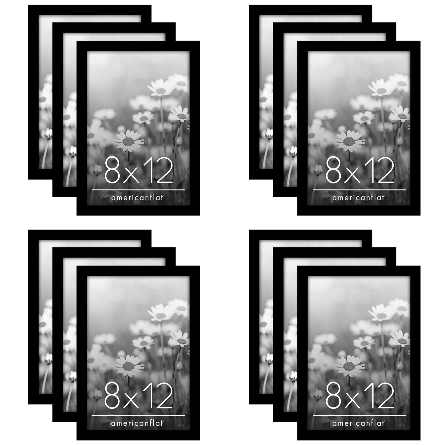 Picture Frame 12 Pack | Gallery Wall Set | Shatter-Resistant Glass | Wall Art