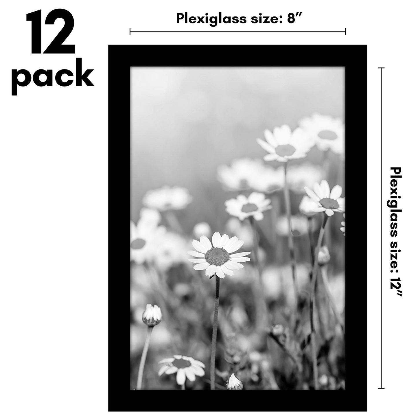 Picture Frame 12 Pack | Gallery Wall Set | Shatter-Resistant Glass | Wall Art