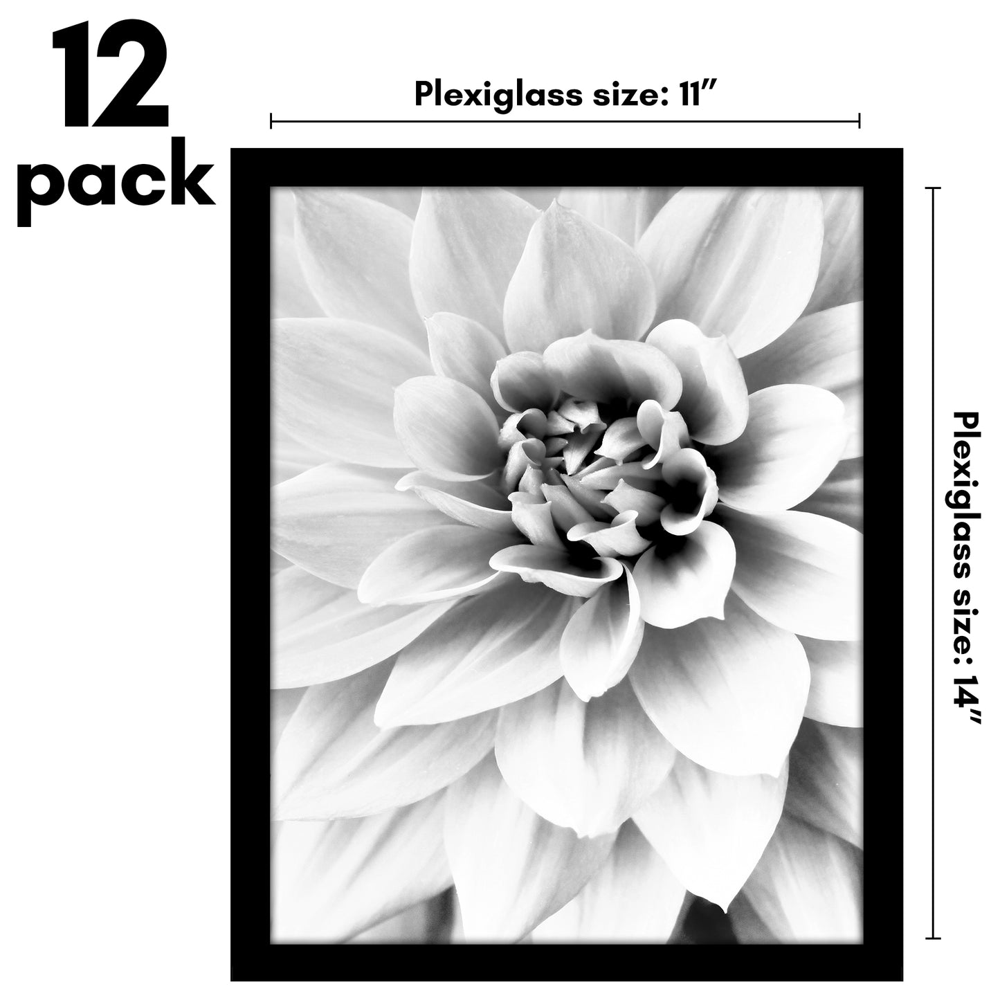 Picture Frame 12 Pack | Gallery Wall Set | Shatter-Resistant Glass | Wall Art
