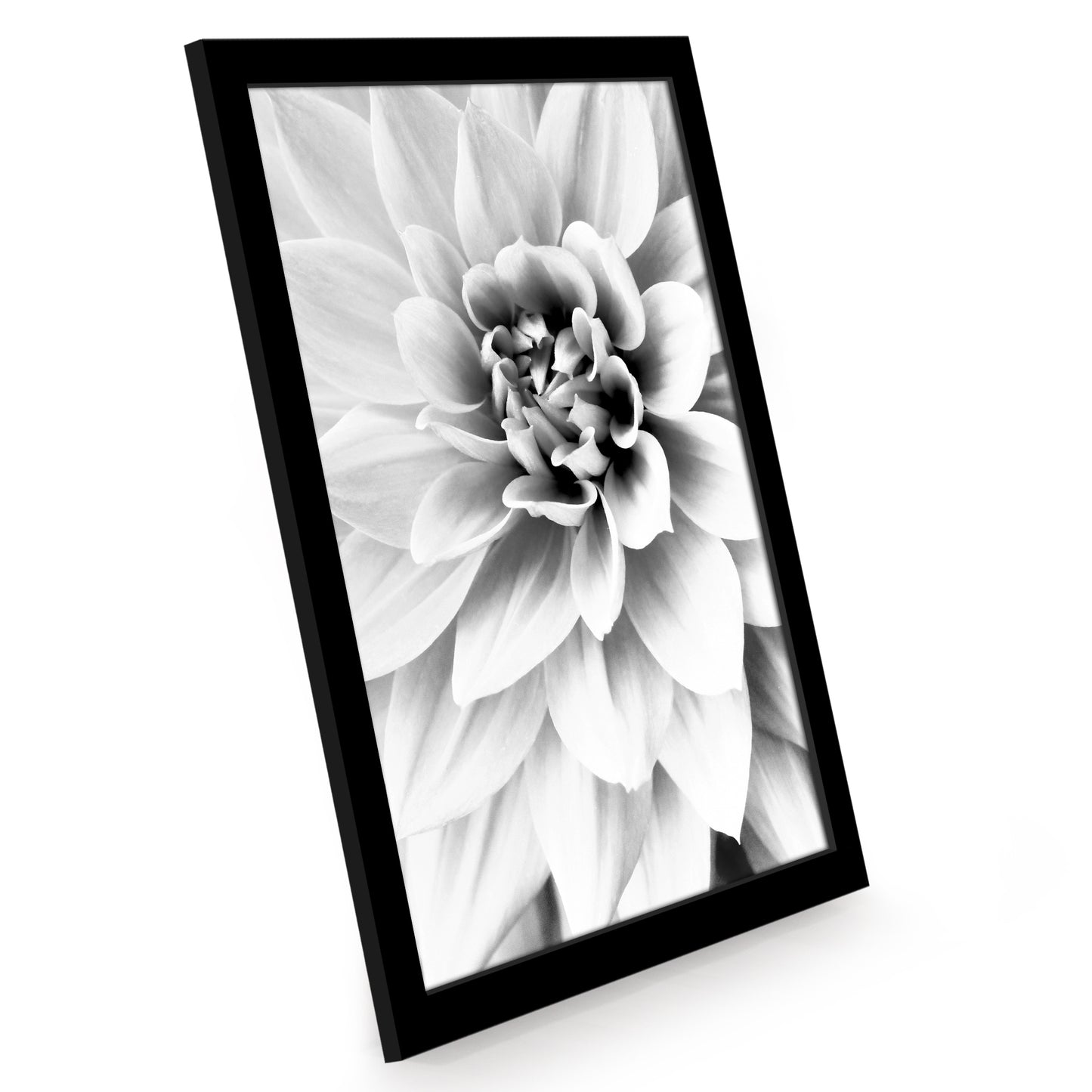 Picture Frame 12 Pack | Gallery Wall Set | Shatter-Resistant Glass | Wall Art