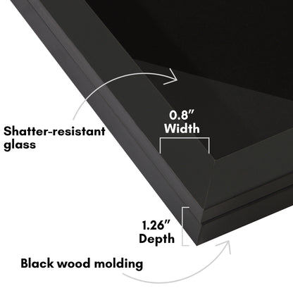 Pin Display Case | Shatter-Resistant Glass | Enamel Pin Holder | Wall Art Display