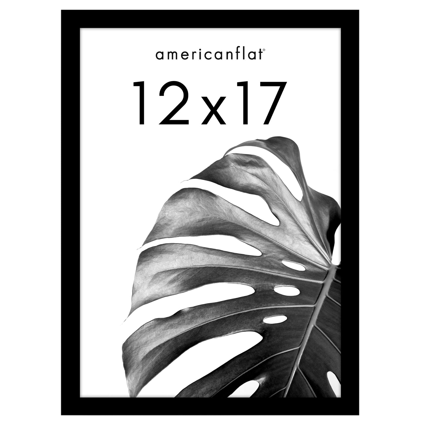 Poster Frame with Wood | Art Print Display | Shatter Resistant Plexiglass Decor