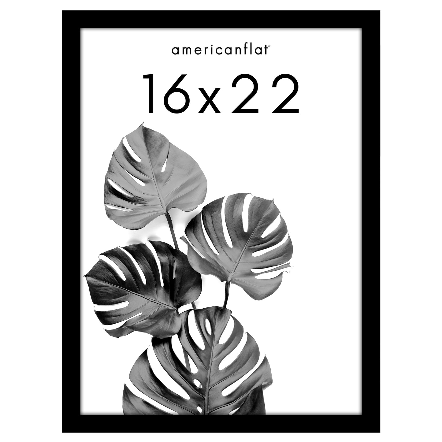 Poster Frame with Wood | Art Print Display | Shatter Resistant Plexiglass Decor