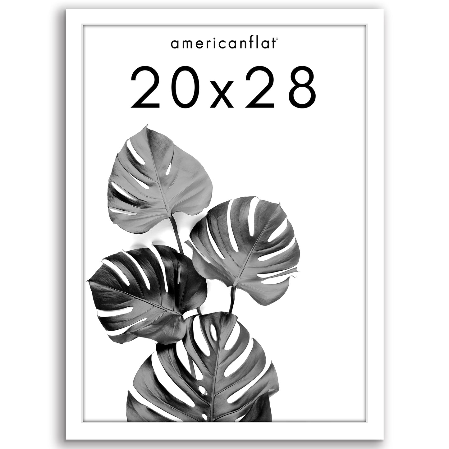 Poster Frame with Wood | Art Print Display | Shatter Resistant Plexiglass Decor