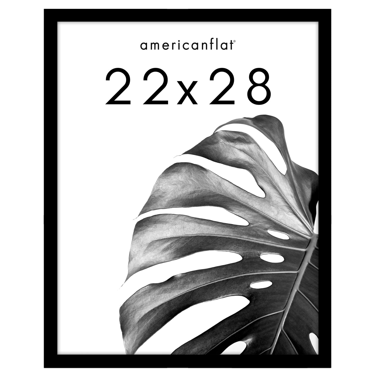 Poster Frame with Wood | Art Print Display | Shatter Resistant Plexiglass Decor