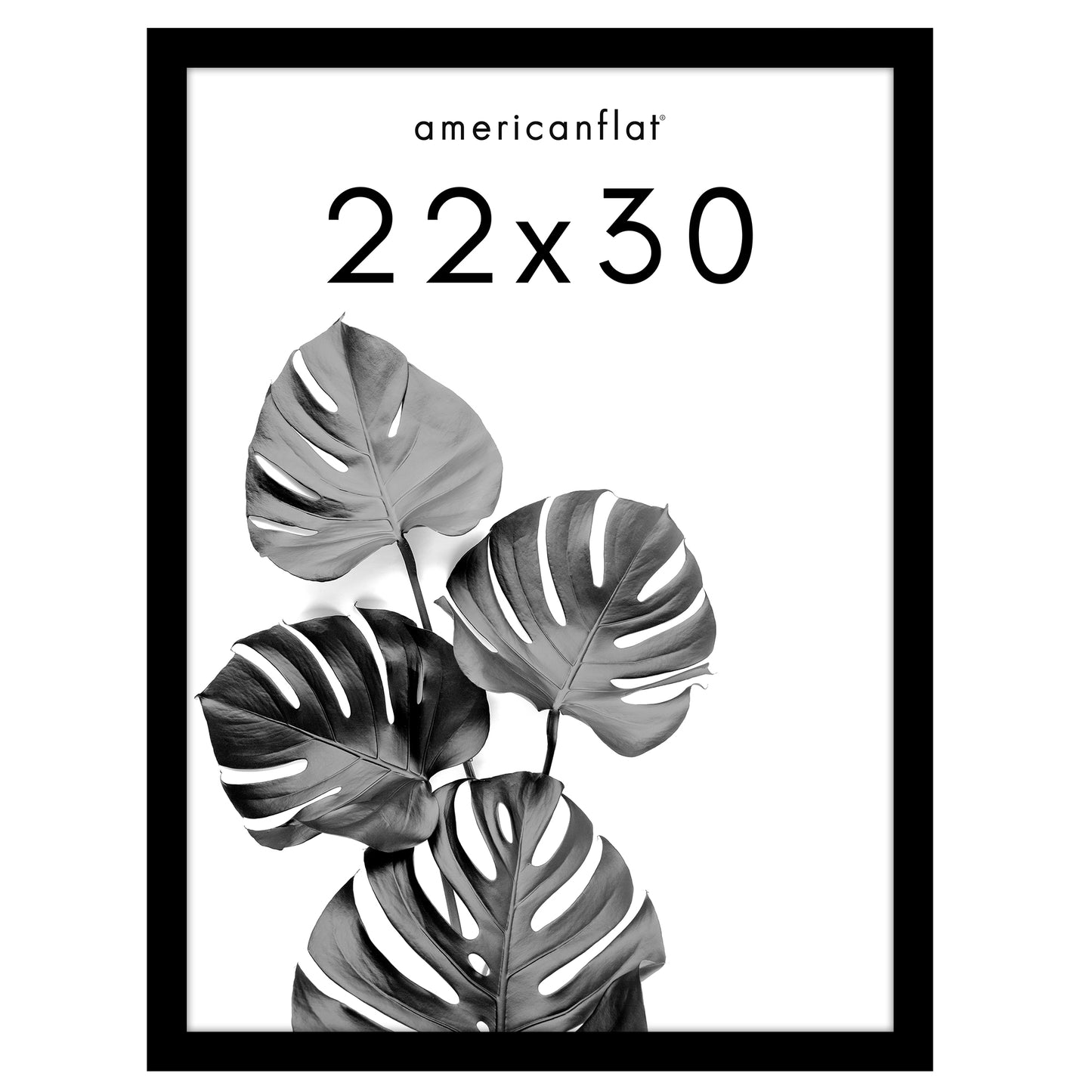 Poster Frame with Wood | Art Print Display | Shatter Resistant Plexiglass Decor