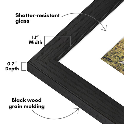 Picture Frame | Wide Molding | Included Mat | Shatter-Resistant Glass | Wall Decor