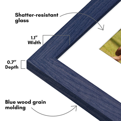 Picture Frame | Wide Molding | Included Mat | Shatter-Resistant Glass | Wall Decor