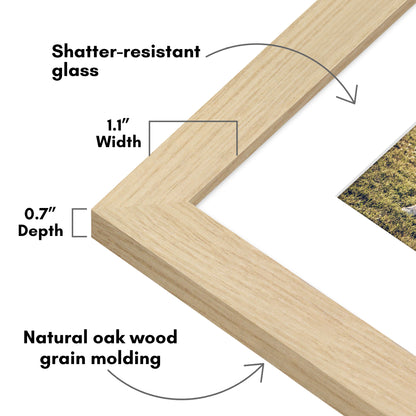 Picture Frame | Wide Molding | Included Mat | Shatter-Resistant Glass | Wall Decor