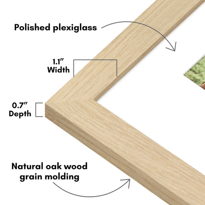 Picture Frame | Wide Molding | Included Mat | Shatter-Resistant Glass | Wall Decor