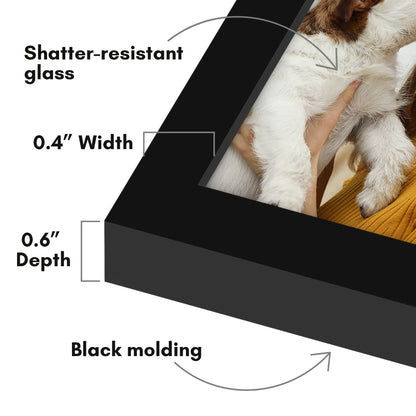 Wall Picture Frame | Contemporary Style | Protective Glass | Easy Mount Display
