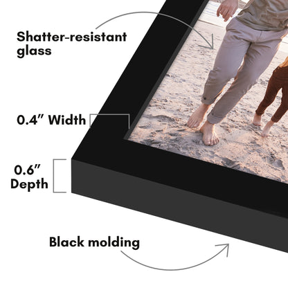 Wall Picture Frame | Contemporary Style | Protective Glass | Easy Mount Display