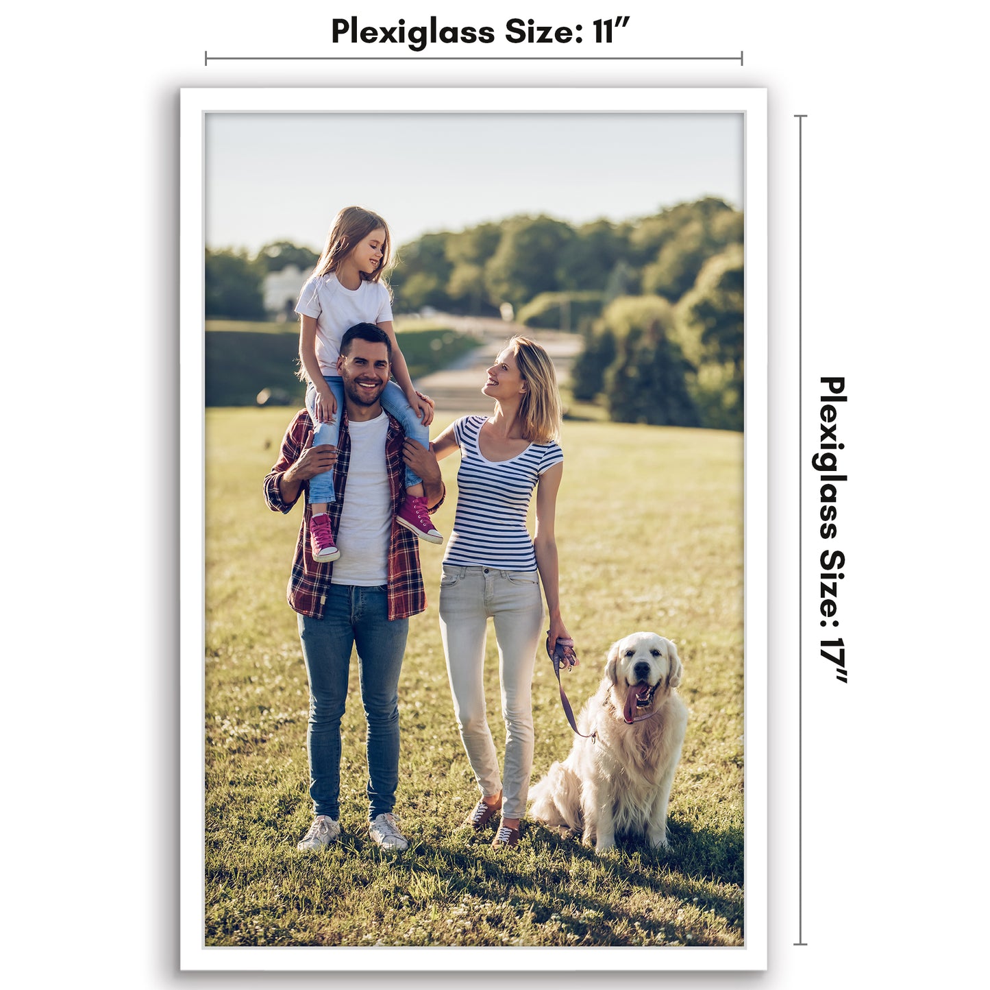 Poster Frame | Modern Design | Shatter-Resistant Glass | Dual Sawtooth Hangers