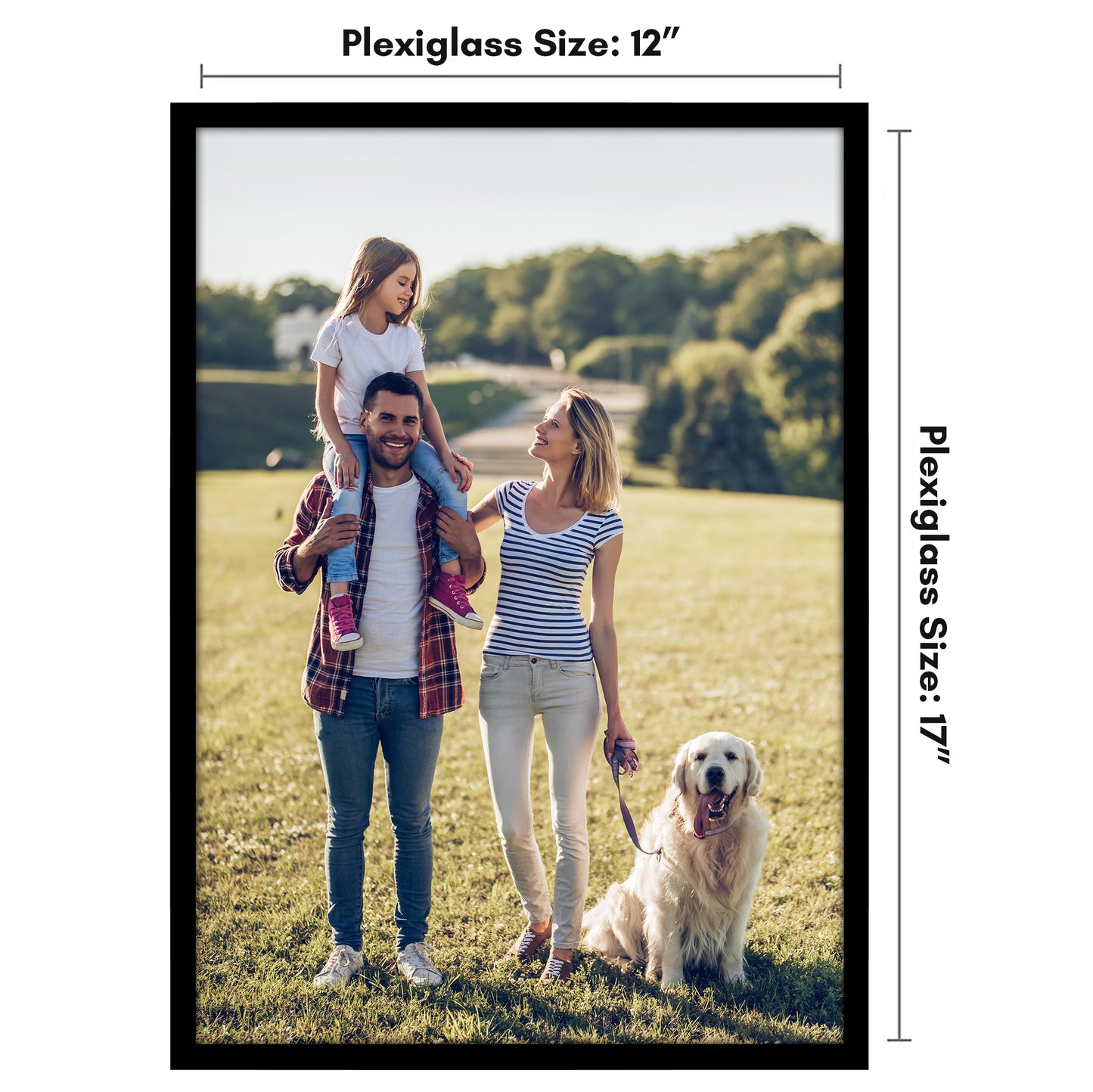 Poster Frame | Modern Design | Shatter-Resistant Glass | Dual Sawtooth Hangers