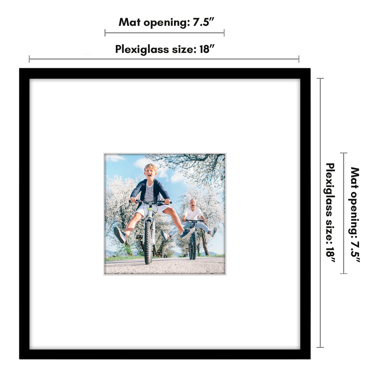 Picture Frame | Decorative Thin Border | Oversized Mat | Shatter-Resistant Glass