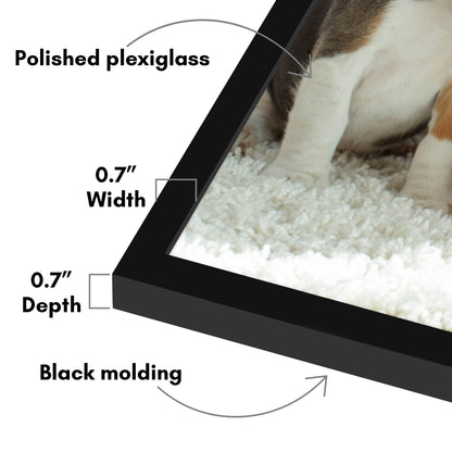 Poster Frame | Contemporary Design | Shatter-Resistant Glass | Wall Art Display