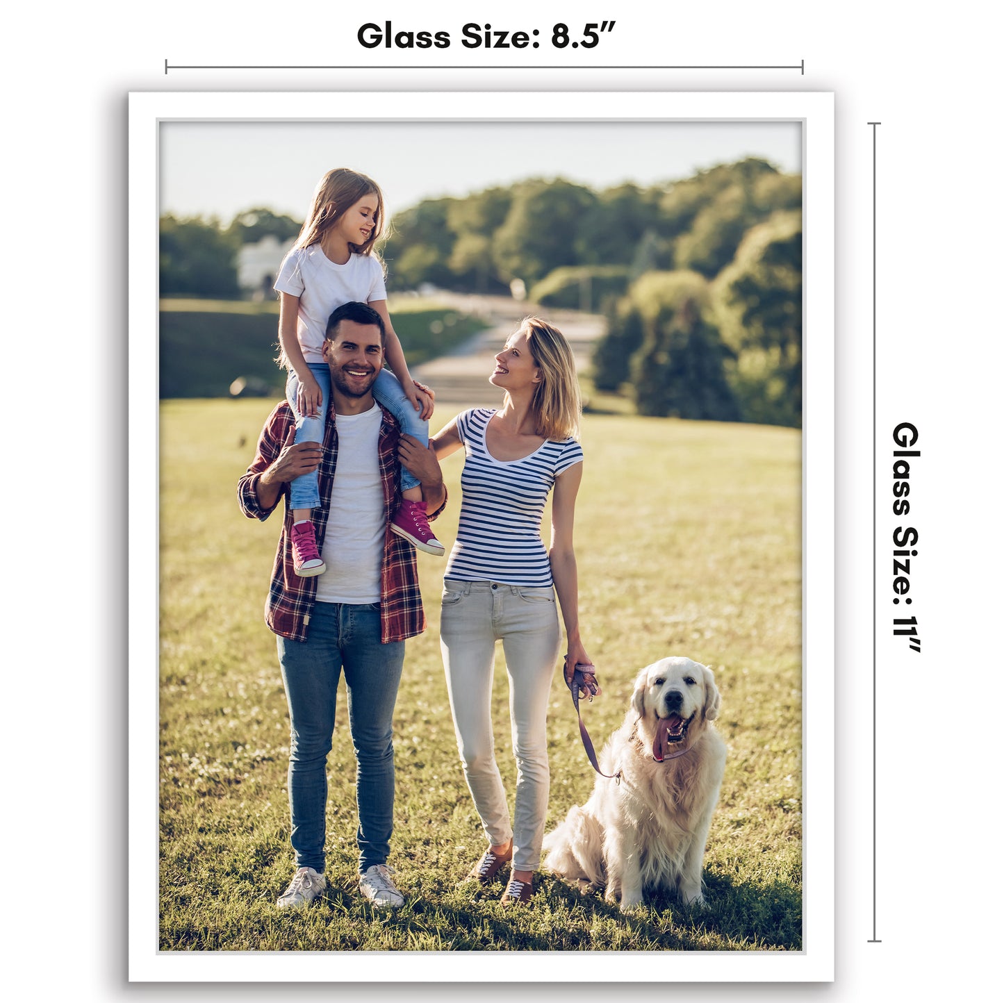 Diploma Frame | Thin Border | Shatter-Resistant Glass | Certificate Display