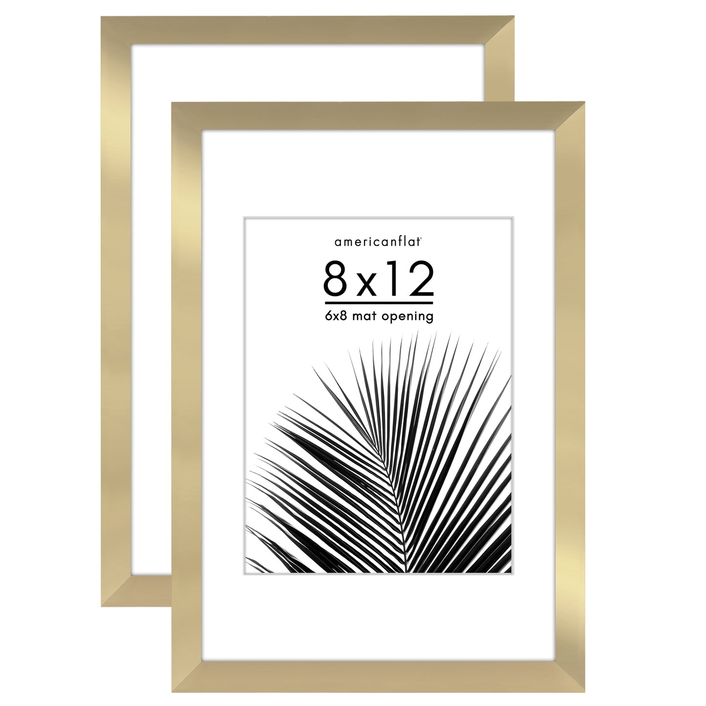 Picture Frame 2 Pack | With Mat | Protective Plexiglass Cover | Wall Decor