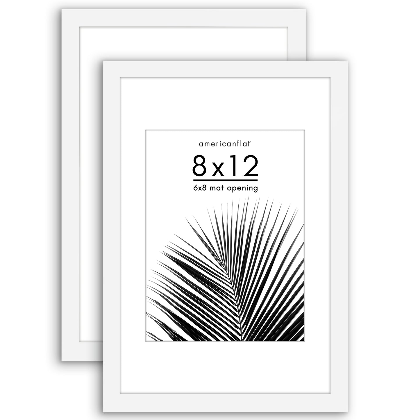 Picture Frame 2 Pack | With Mat | Protective Plexiglass Cover | Wall Decor