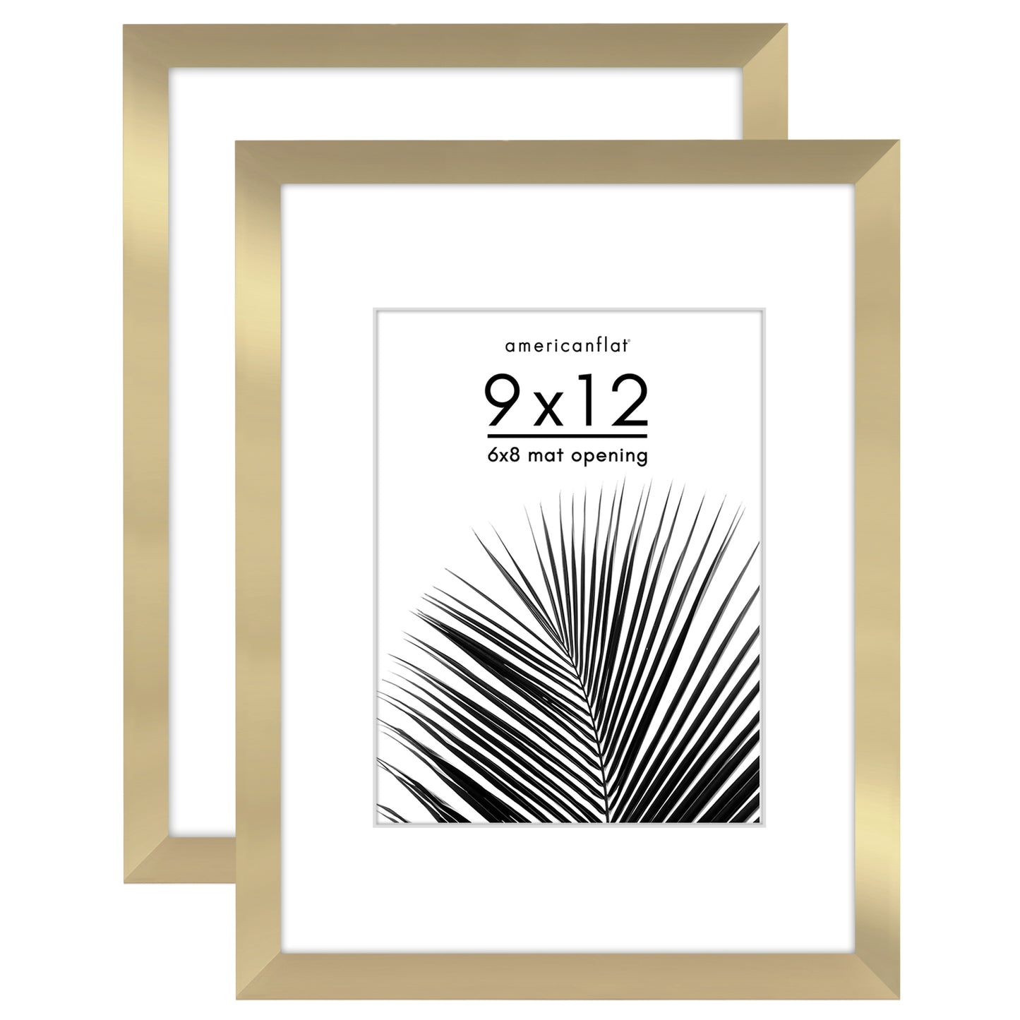 Picture Frame 2 Pack | With Mat | Protective Plexiglass Cover | Wall Decor