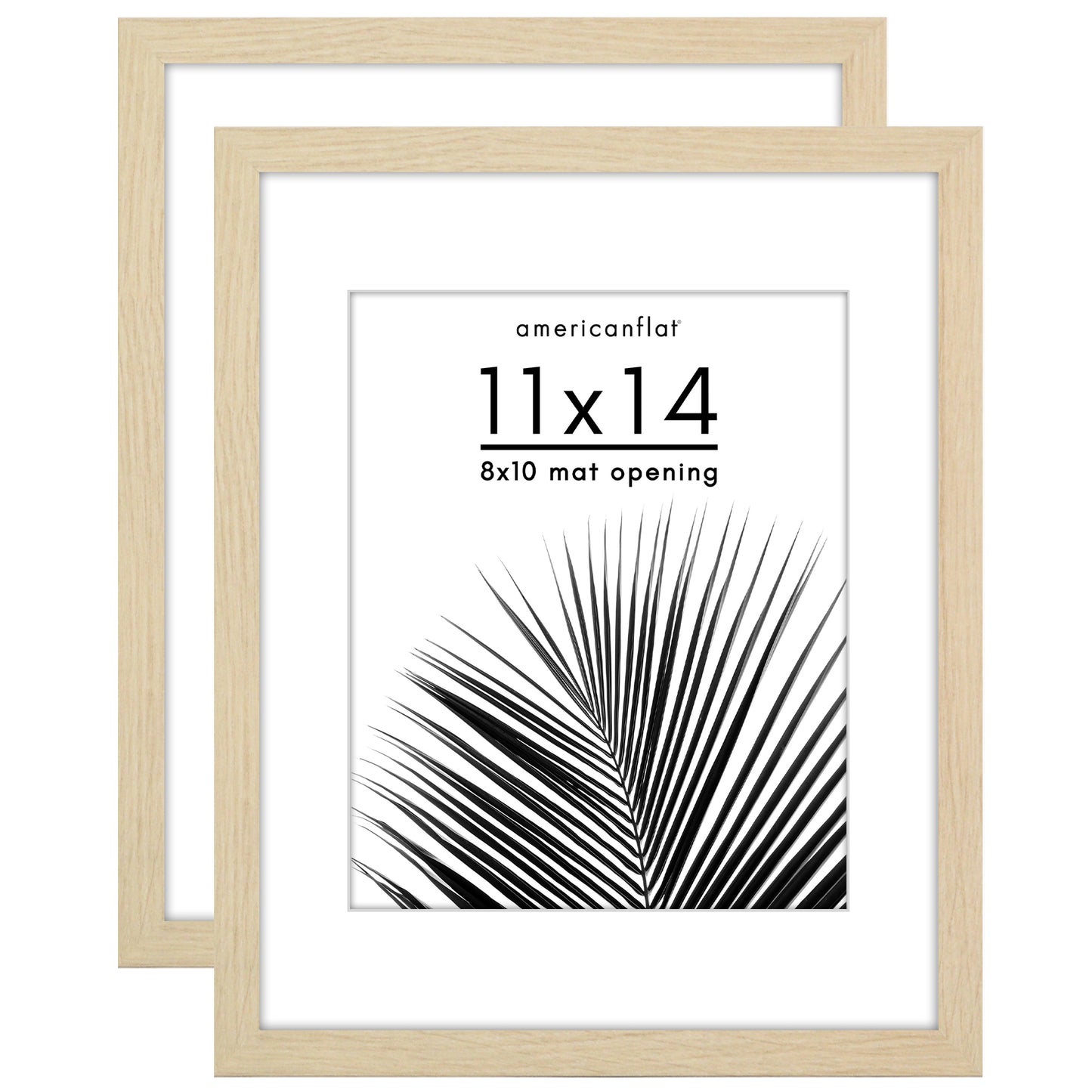 Picture Frame 2 Pack | With Mat | Protective Plexiglass Cover | Wall Decor