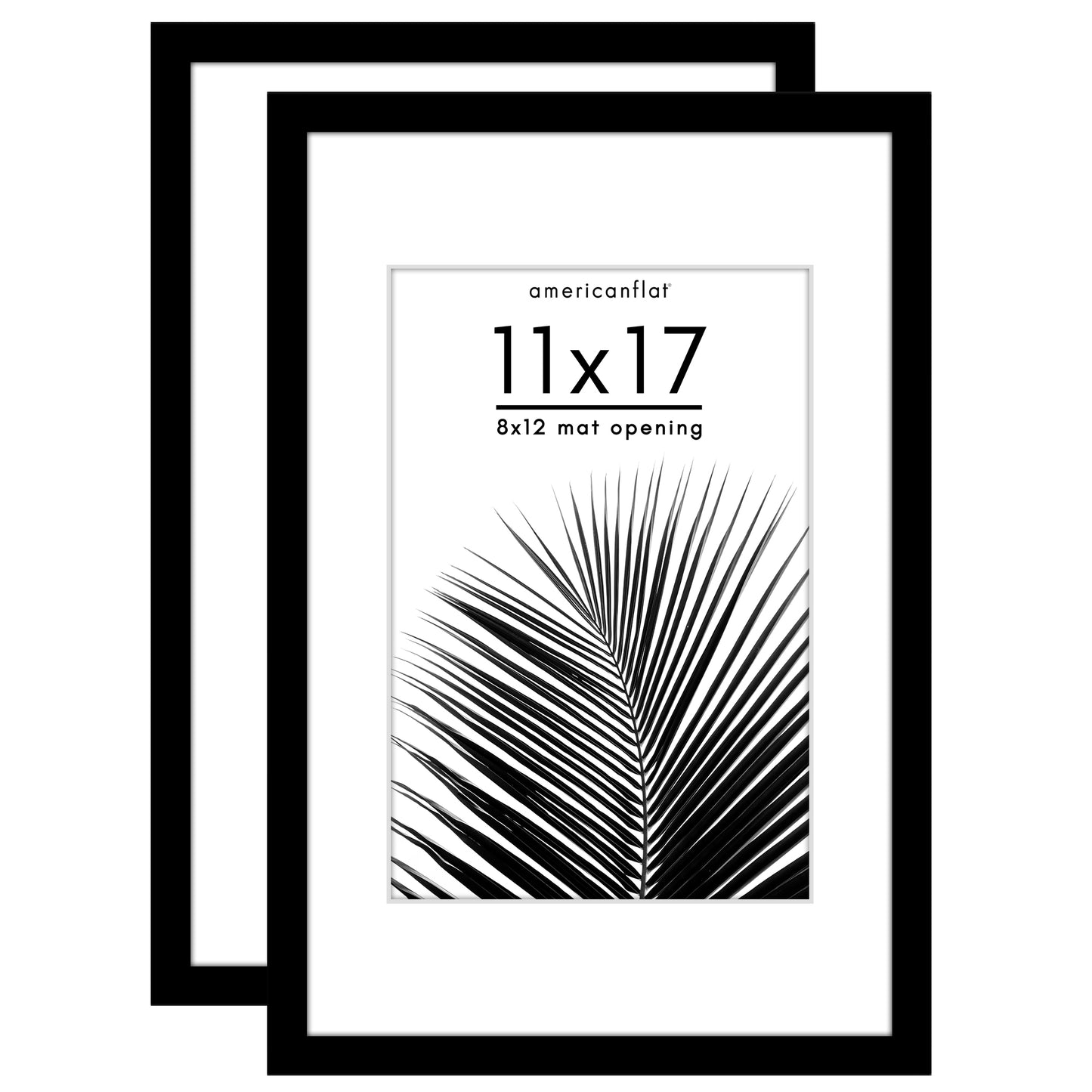 Picture Frame 2 Pack | With Mat | Protective Plexiglass Cover | Wall Decor